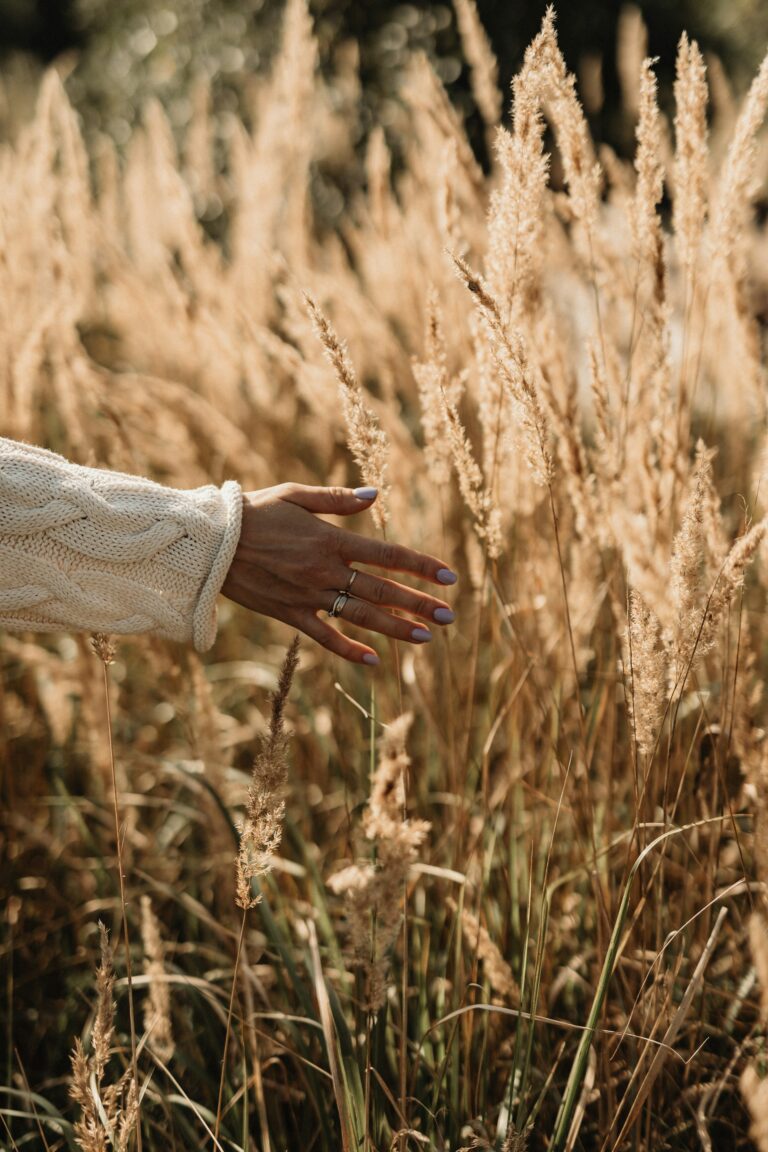 Celebrating First Day of Fall: Embrace the Beauty of Autumn Together!