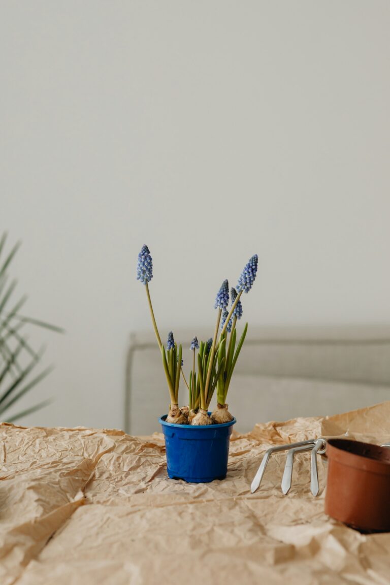 Spring-Themed Hygge Corner: Cozy Ideas for a Warm and Inviting Space