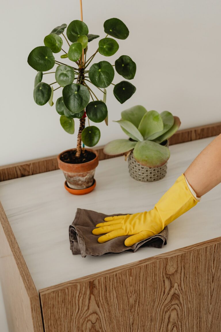 Simple Spring Cleaning Tips for a Fresh Start This Season