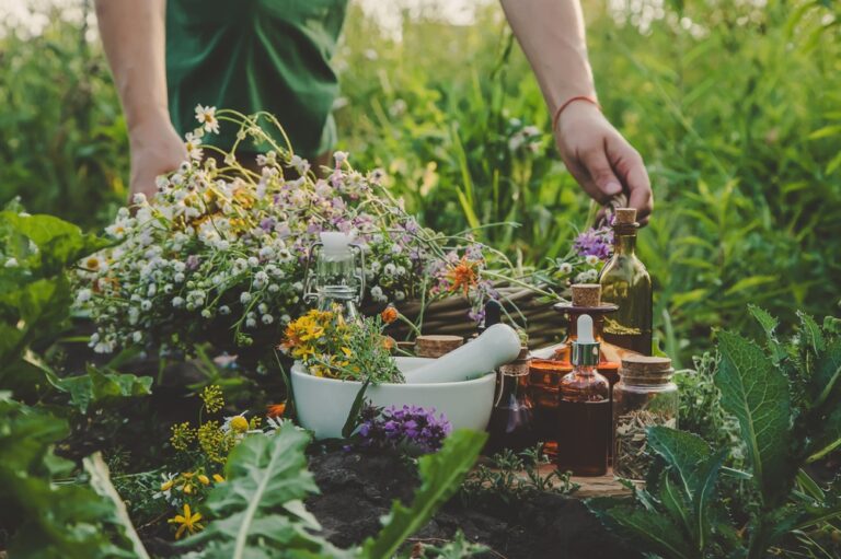 A woman collects medicinal herbs. Selective focus. Nature.